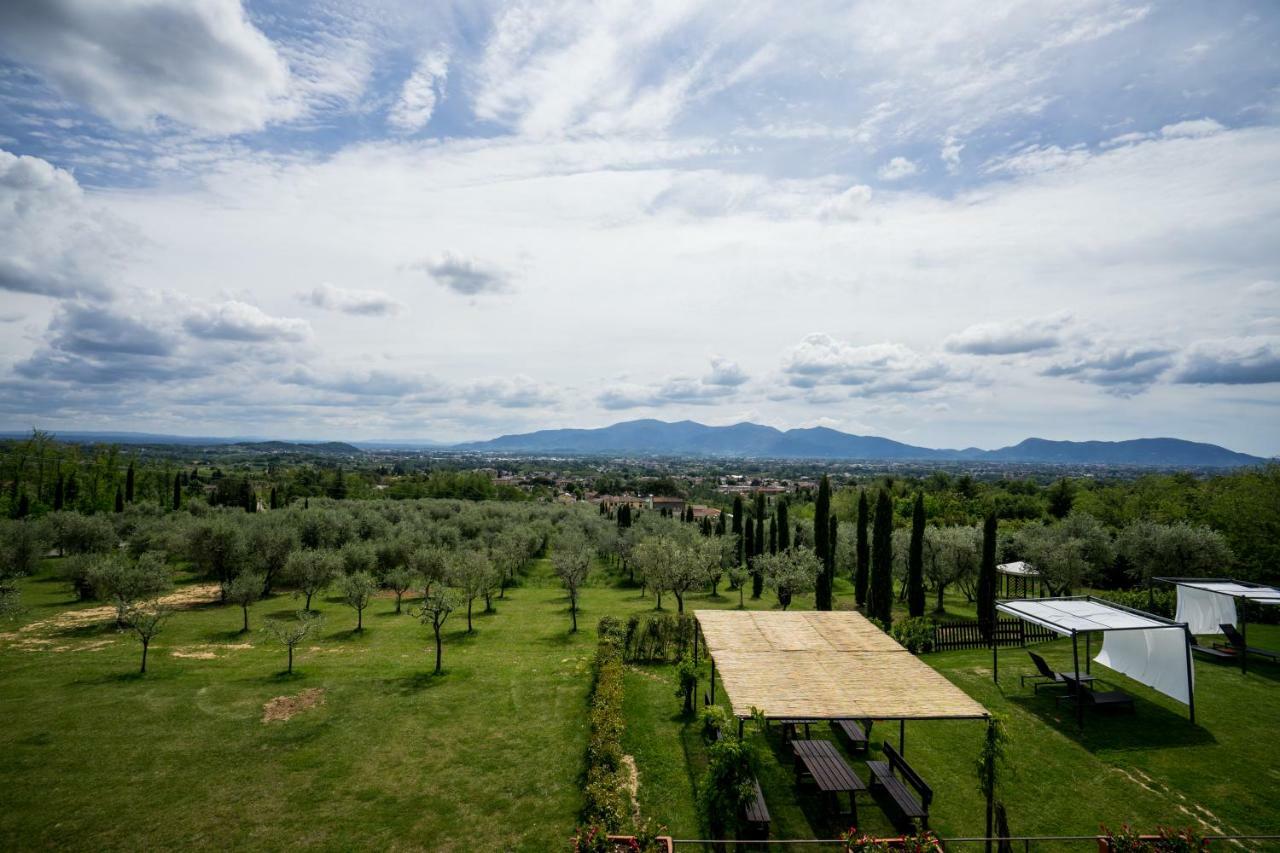 Accogliente Alloggio Con Vista E Piscina لوكا المظهر الخارجي الصورة